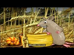 mr snail country mouse visit