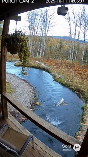 River Flows Uphill in Real Time #ReverseHydrology #GravityGlitch #WildNatureFX #PorchC #ViralVisuals