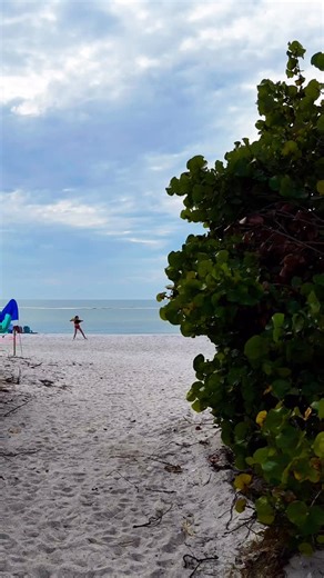 81 reactions · 12 shares |  Escape to paradise on Anna Maria Island...