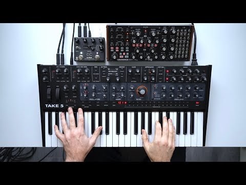 Sequential Take 5, Moog Subharmonicon, Walrus Slöer - cinematic synth performance