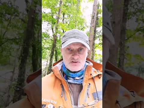 3 tips for salmon fly fishing.