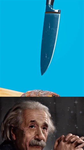 harsh Gautam on Instagram: "@harshcreats100k brain damage tor cnila What can we say except, “You’re welcome!” With a computer program called MOANA and NASA satellite data, scientists can identify the colorful plant-like organisms that drift in Atlantic Ocean currents. These phytoplankton nourish Earth’s marine life, produce oxygen, absorb carbon, and turn satellite images into vibrant works of art. The first image, taken by NASA’s Plankton, Aerosol, Cloud, ocean Ecosystem (PACE) satellite on May