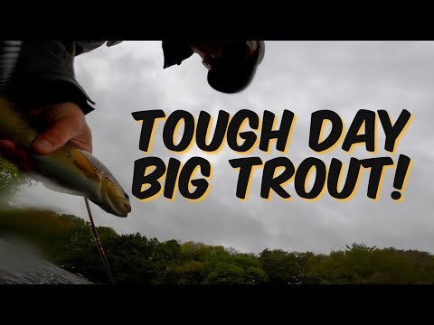 Final days of my 2025 Brown Trout Season I Big Trout during Storm Amy with a Single Heavy Nymph!