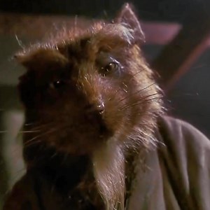 We missed World Rat Day but let's celebrate today with reactions to Splinter from the Ninja Turtle movies! #ninjaturtles #TeenageMutantNinjaTurtles #tmnt #splinter | Nostalgic Nebula
