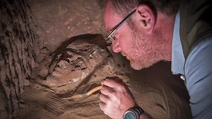 Top Science Stories of 2023