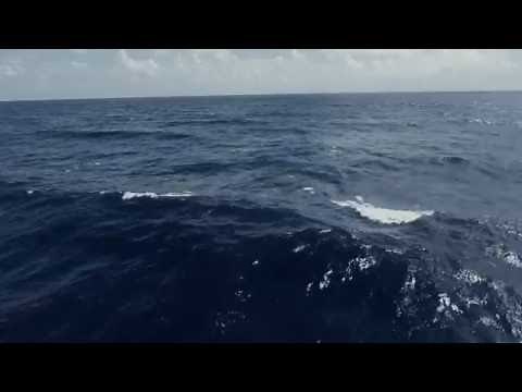 Dark blue Ocean waves - Free 4K Footage