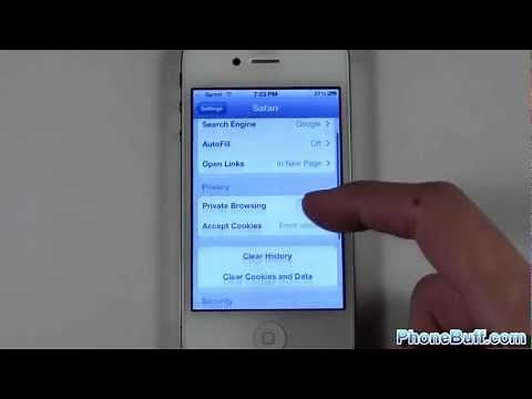 How To Delete Safari Internet History On The iPhone or iPad