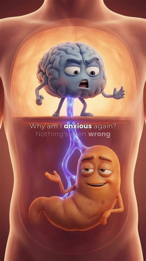 The Gut-Brain connection is real!! Fix the #gut , calm the #brain 🧠 #gutbrainaxis #dubai