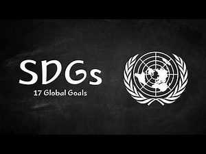 Sustainable Development Goals (SDGs) Explained | The Global Plan for the Future