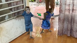 Madam Jenny Stunning Worry On Back Side But Hand Pulling Jacky To Wait | Animals Jacky