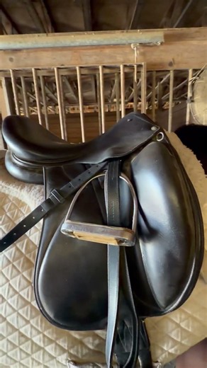 Devoucoux Saddle #horse #equestrian #horses #horsegirl #horseriding