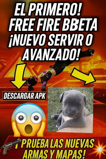 118K views · 5.9K reactions | Como instalar fre Fire beta #elñoker #viralvideochallenge #Bendecido #SeguimosFirmes #ConDiosTodoSePuede #FreeFire #nuncarendirse #beta #frefire #garenafreefire | 홀홡 홨홖홢홪홚홡홞황홤 | Facebook