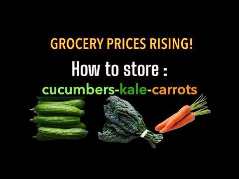 Food shortages ahead? How to store veggies to make them last longer