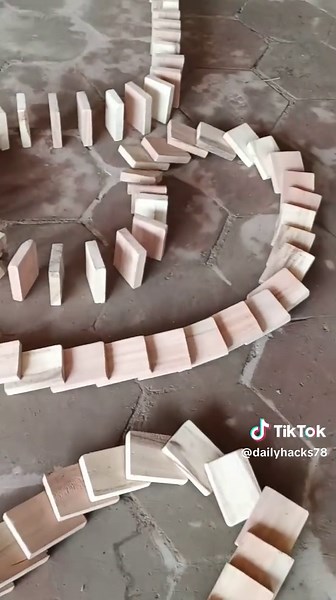 Daily Experiment on TikTok