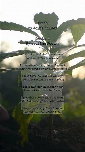 Trees By Joyce Kilmer | Poem Reading by Bedtime Poetry