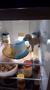 990K views · 35K reactions | Ahh my client Wedding Cake | Showboi | Facebook