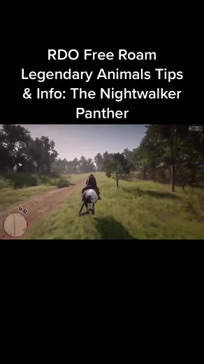 Where to Find the Nightwalker Panther in RDR2
