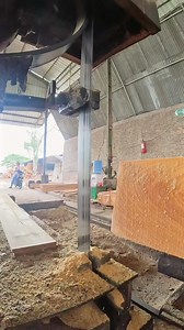 sawmill process | Sawmill & Woodworking