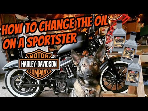 How to Change the Oil and Filter in a Harley Davidson Sportster (Iron 883)