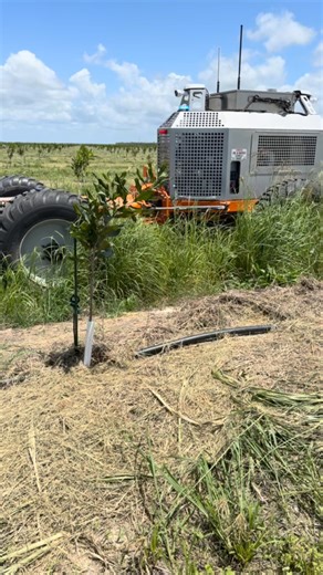 2.3K views · 7.9K reactions | Swambot in action  coupled with a Schulte GX-150 with side eject option making short work of grass in between plantation rows! @swarmfarmrobotics @schultesalesaustralia #swarmbot #robot #slasher#builttough #schulte | Schulte Sales Australia | Facebook