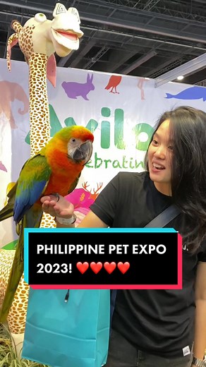 Nica Gutierrez on TikTok