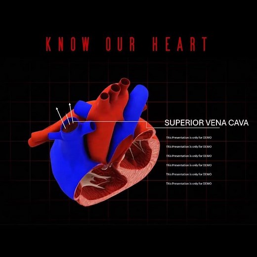 Cardiology Meets Design: Master 3D Heart Animations in PowerPoint