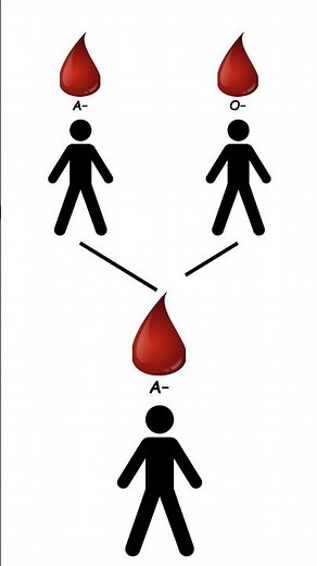 Blood Group Compatibility Explained | Who Can Donate to Whom