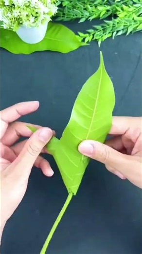 make a wonderful folower from mango tree#shorts