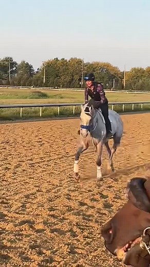 Galloping is not only a paid gym membership but also therapeutic for my mental health. When I am riding, nothing else is swirling around in my head. All of my stresses fade for the little bit of time, while I can remain in the moment. I don’t know where I would be without these horses. They have given me and continue to give me their hearts and souls… What they don’t know is that they heal mine