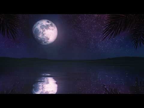 Cozy Moonlit Water 🌙 White Noise: Gentle Splashing Sounds for Deep Sleep (12 Hours)