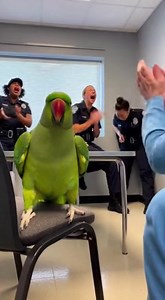 Talking Parrot ROASTS Cops & Doctors 😂🦜 | Funniest Reactions Ever Caught on Camera | Parrot Comedy Drama