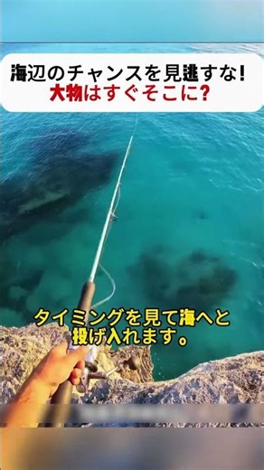 Don't miss this opportunity by the sea! Big catches are just around the corner! #fishing #seafish...