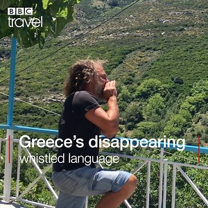 6.1M views · 27K shares | Is this the end for the sfyria whistlers in...