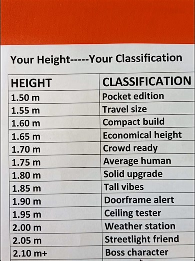 Understanding Height Classifications and Proportions