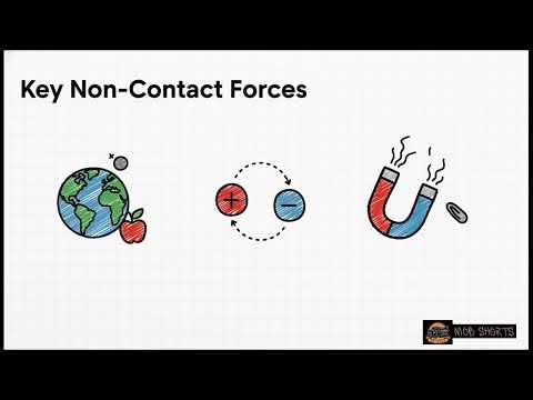Different Types of Forces | Physics | Grade 12 CAPS