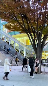 86K views · 2.7K reactions | The official Facebook page of Tokyo Official Travel Guide. Find out what to do and eat, where to go. | Go Tokyo | Facebook