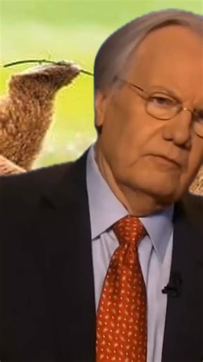 Tea party #richardwolff #interview #anticapitalism #debate #socialism