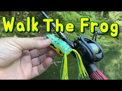 How to Walk The Frog - Popping Frogs for Summer Bass