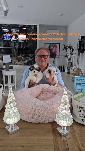 Adopt my Canin (@adoptmycanin)’s videos with son original - Adopt my Canin