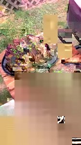 Peter Luger Style Steak | Over The Fire Cooking by Derek Wolf