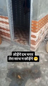 यारों की यारी को सलाम 😂✅ #funny | Dildar Husain