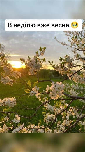 Відео користувача Просто девочка 🖤🤍🤤 (@b.u.s.y.g_irl_19) з композицією «оригінальний аудіозапис - N🤍»