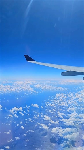 1.7K views · 58 reactions | Welcome to Honolulu 酪 | JOE SURF | Facebook