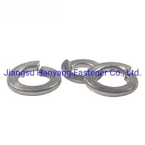 [Hot Item] Spring Lock Washer Shells Pad Flat Washer Elastic Gasket