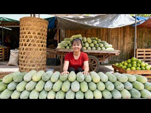 Harvest 1000 Luffa Sponge Gourds | Rural Farm to Market