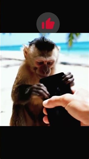 Cardio Wars Interactive Workout vs Traditional Exercise