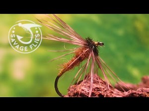 Fly Tying the Winter Brown (Classic Spider Nymph/Wet)