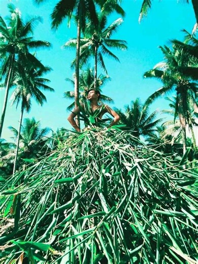 LEA REVIEW GROUP 2024 | The Scientific Name of Bamboo | Facebook