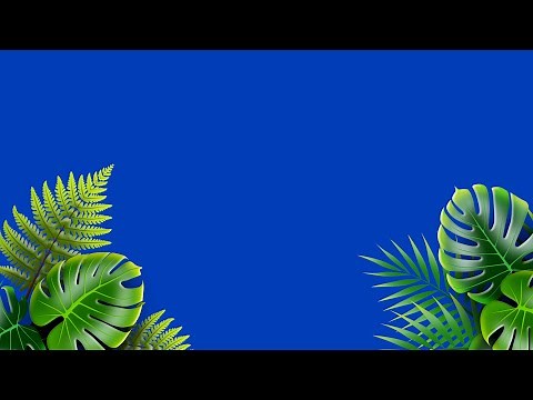 Best Tropical Leaf Animation 4K Green Screen 🌴 | Free Nature Background Video for Editing & VFX