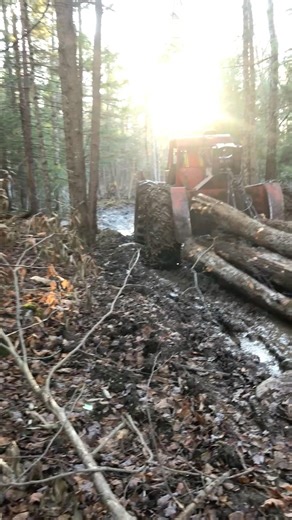 Old Iron Still Works 💪 Timberjack 225 pulling long bodied
